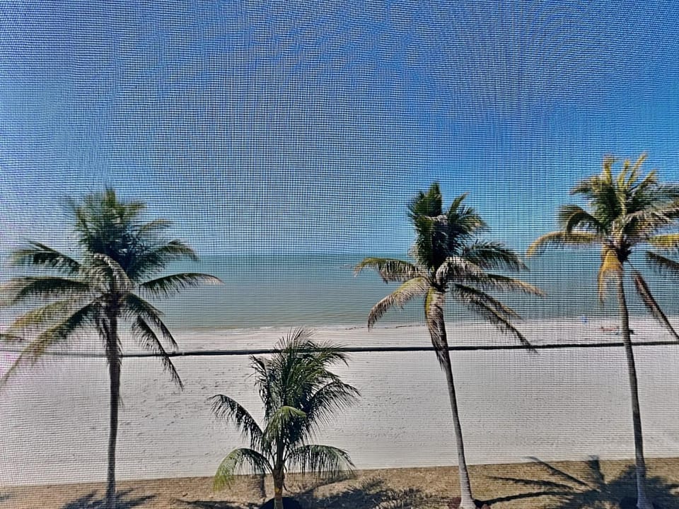 Seaside 305 Apartment in Estero Island