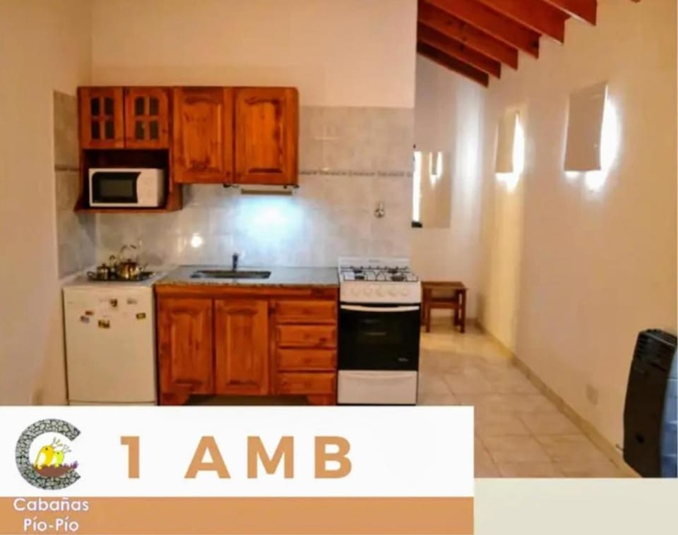 Kitchen or kitchenette, Text overlay, microwave, minibar, oven