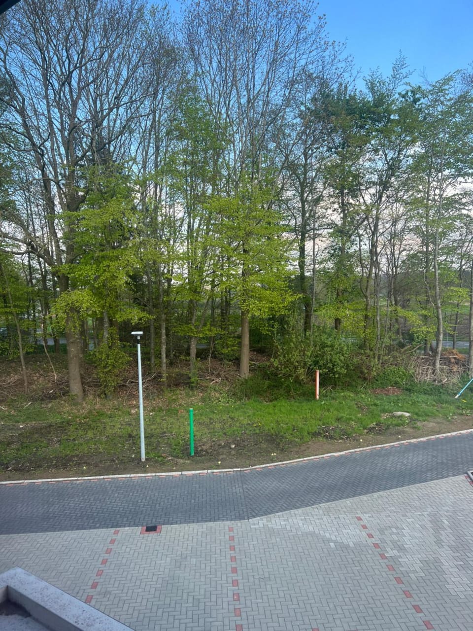 Natural landscape