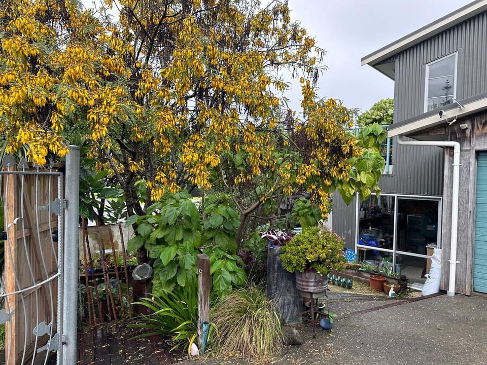 Studio 51 - at gorgeous Waikanae Beach Apartment in Wellington Region