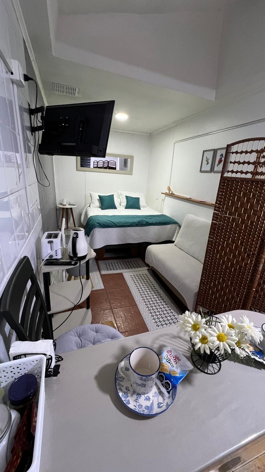 Bed, TV and multimedia, Kitchen or kitchenette, Photo of the whole room, Seating area, Dining area, toaster, toaster