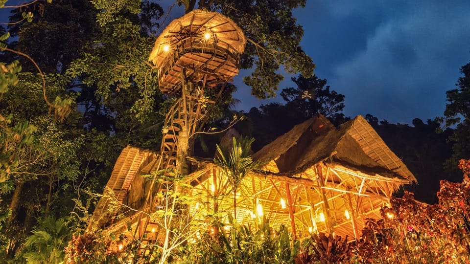 Restaurant/places to eat, Facade/entrance, Night, Garden, Library, Lounge or bar, On site, Pets, Garden view, Mountain view, Sea view, Meals, Lunch, Dinner, Drinks, Alcoholic drinks, Non alcoholic drinks, Sunset
