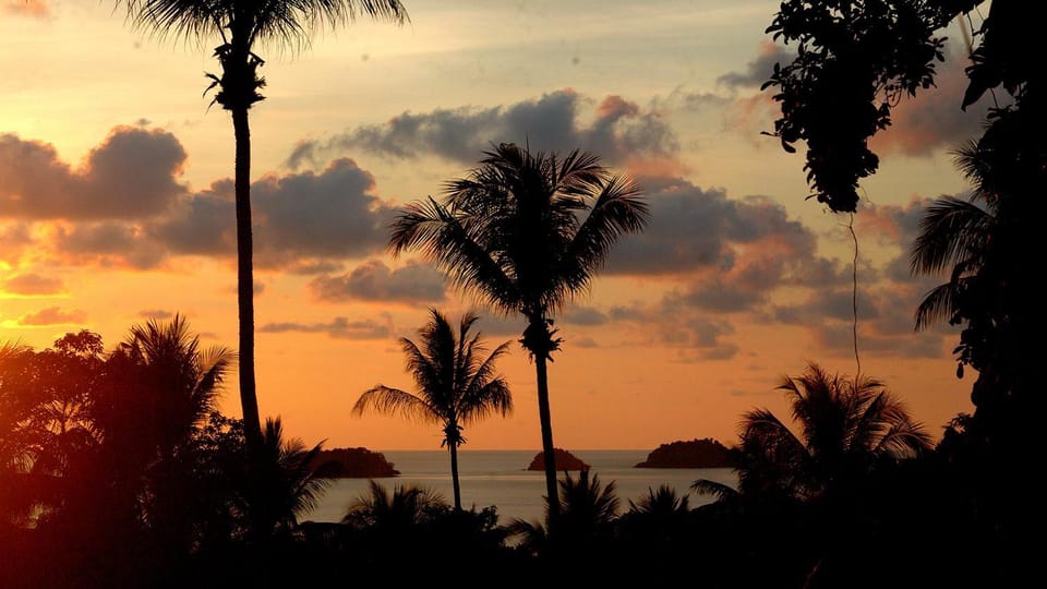 Restaurant/places to eat, Beach, Garden view, Sea view, Drinks, Alcoholic drinks, Non alcoholic drinks, Sunset