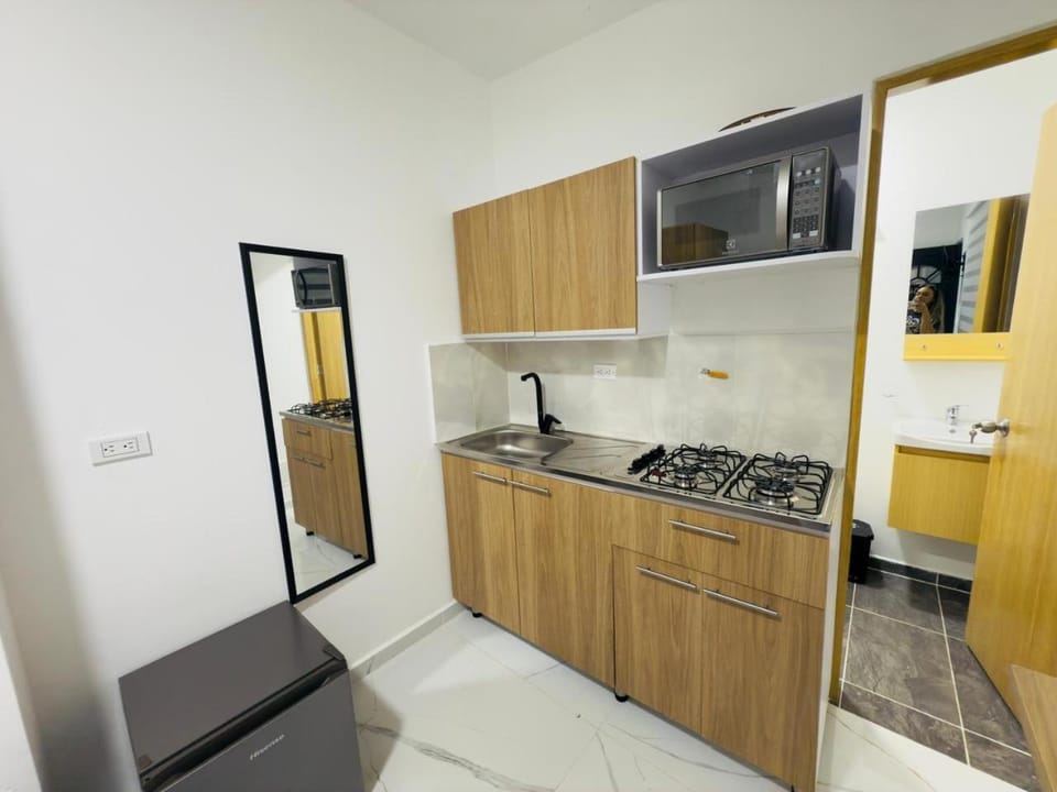 Kitchen or kitchenette, minibar, oven, stove