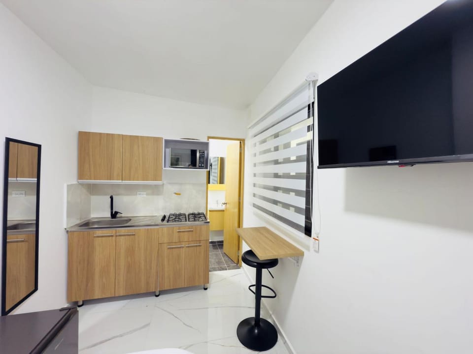 TV and multimedia, Kitchen or kitchenette, minibar, oven, stove