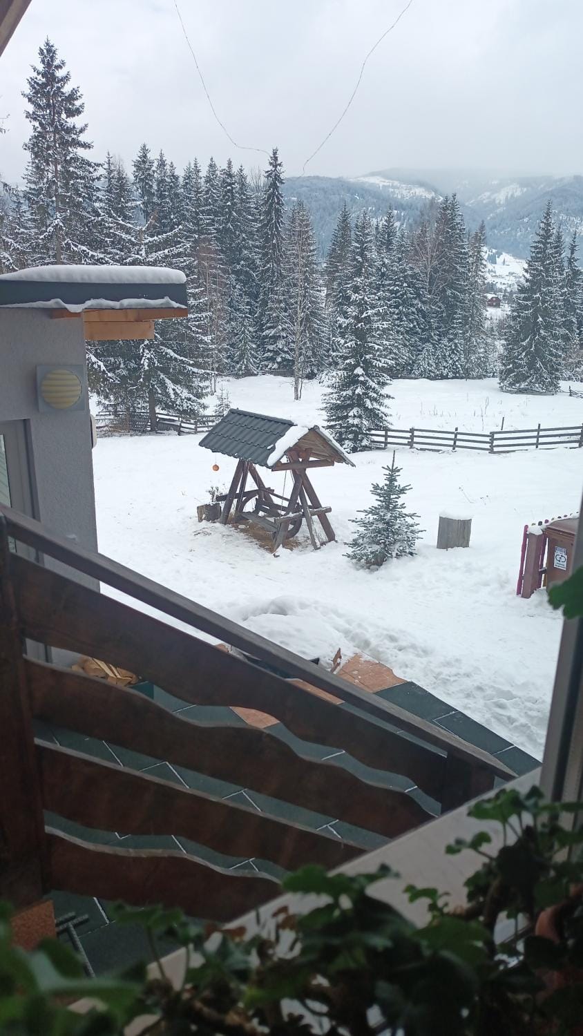 Cabana Ski Calimani House in Brașov County