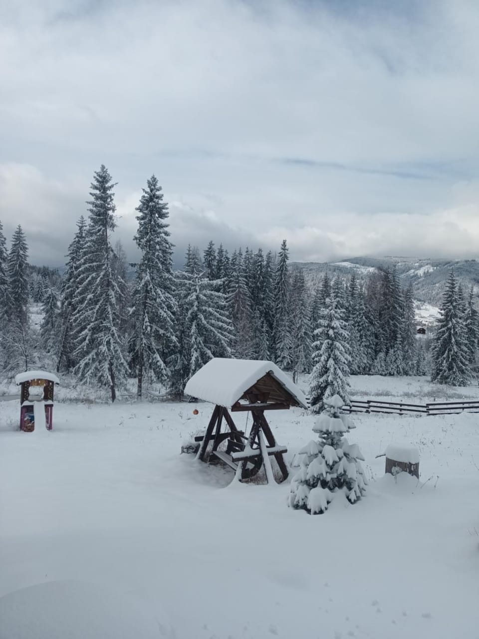 Cabana Ski Calimani House in Brașov County