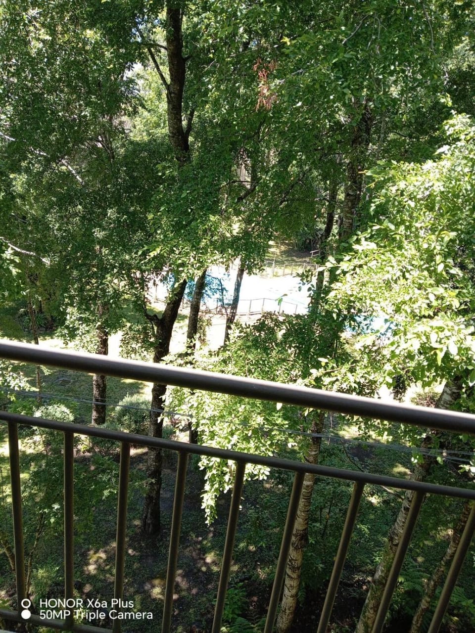Natural landscape, Garden, Swimming pool, Swimming pool