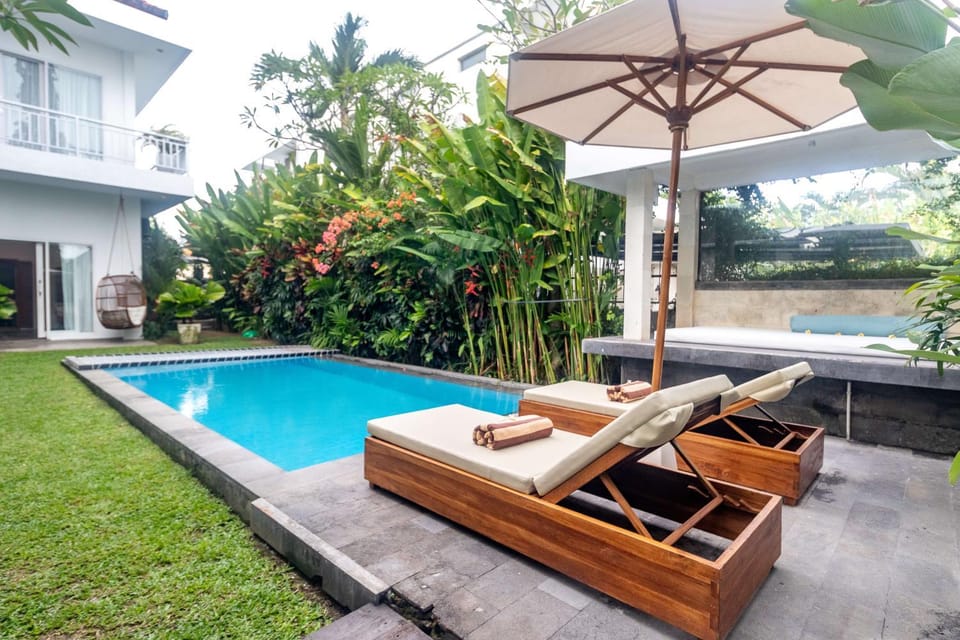 Garden, Swimming pool, Swimming pool, sunbed