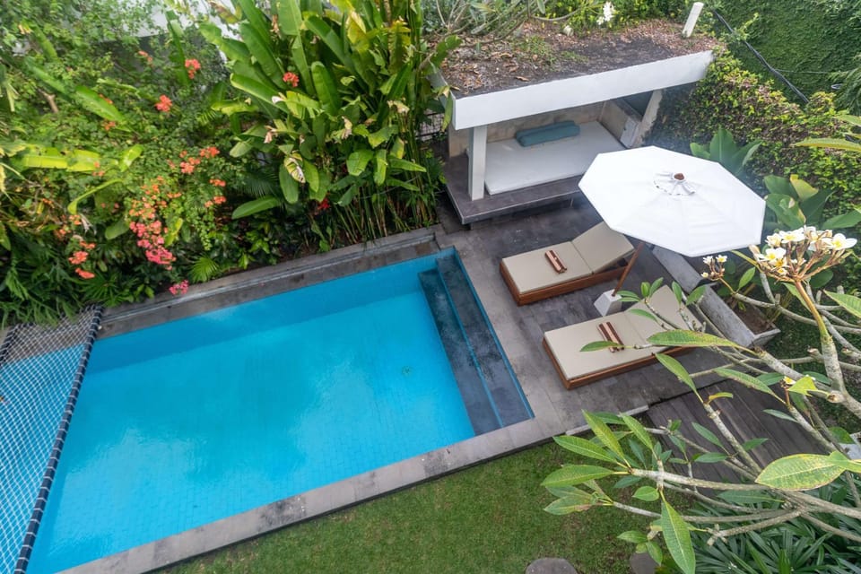 Garden, Garden view, Swimming pool, Swimming pool, sunbed