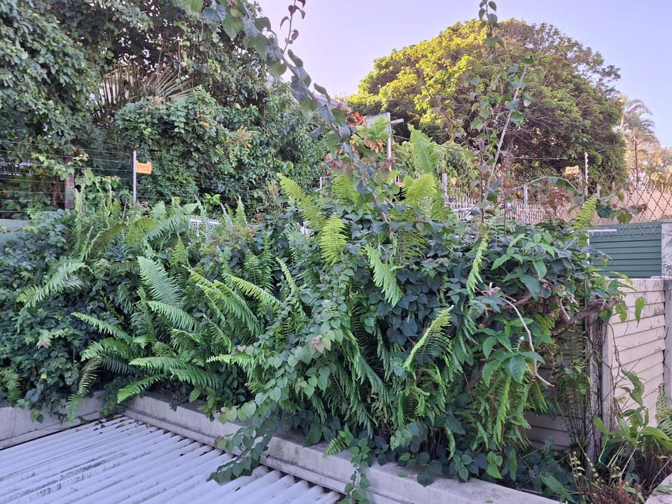 Garden view