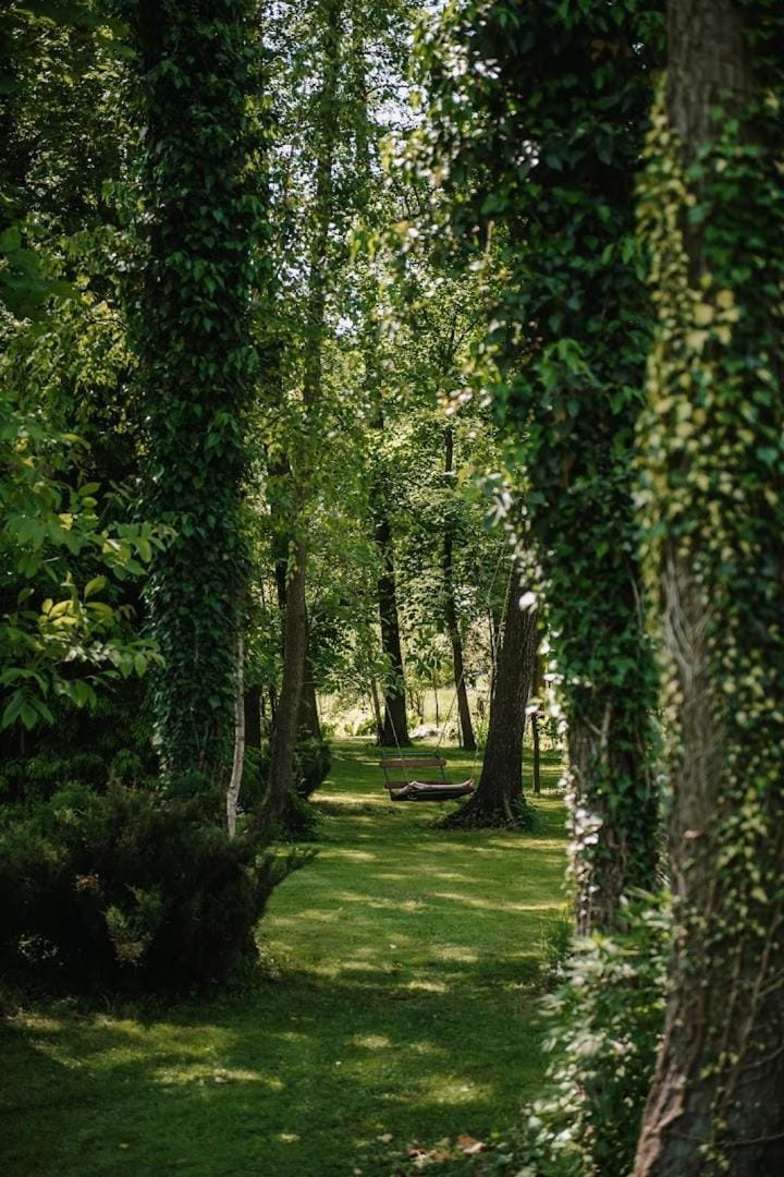 Natural landscape, Garden, Garden view