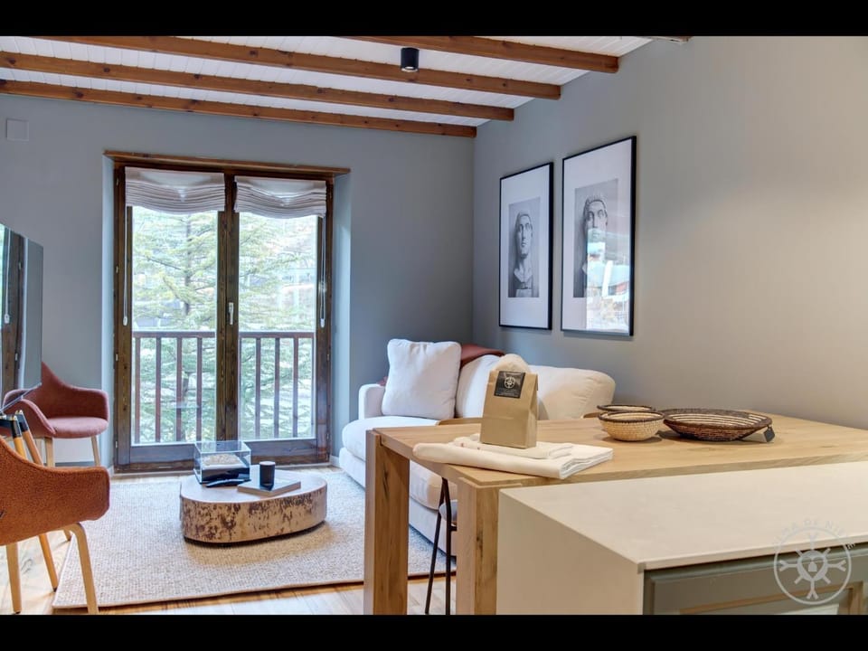 CAP D'ARAN de Alma de Nieve Apartment in Baqueira