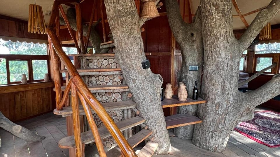 Wonderland By Jade - Treehouse Villa Villa in Tamil Nadu