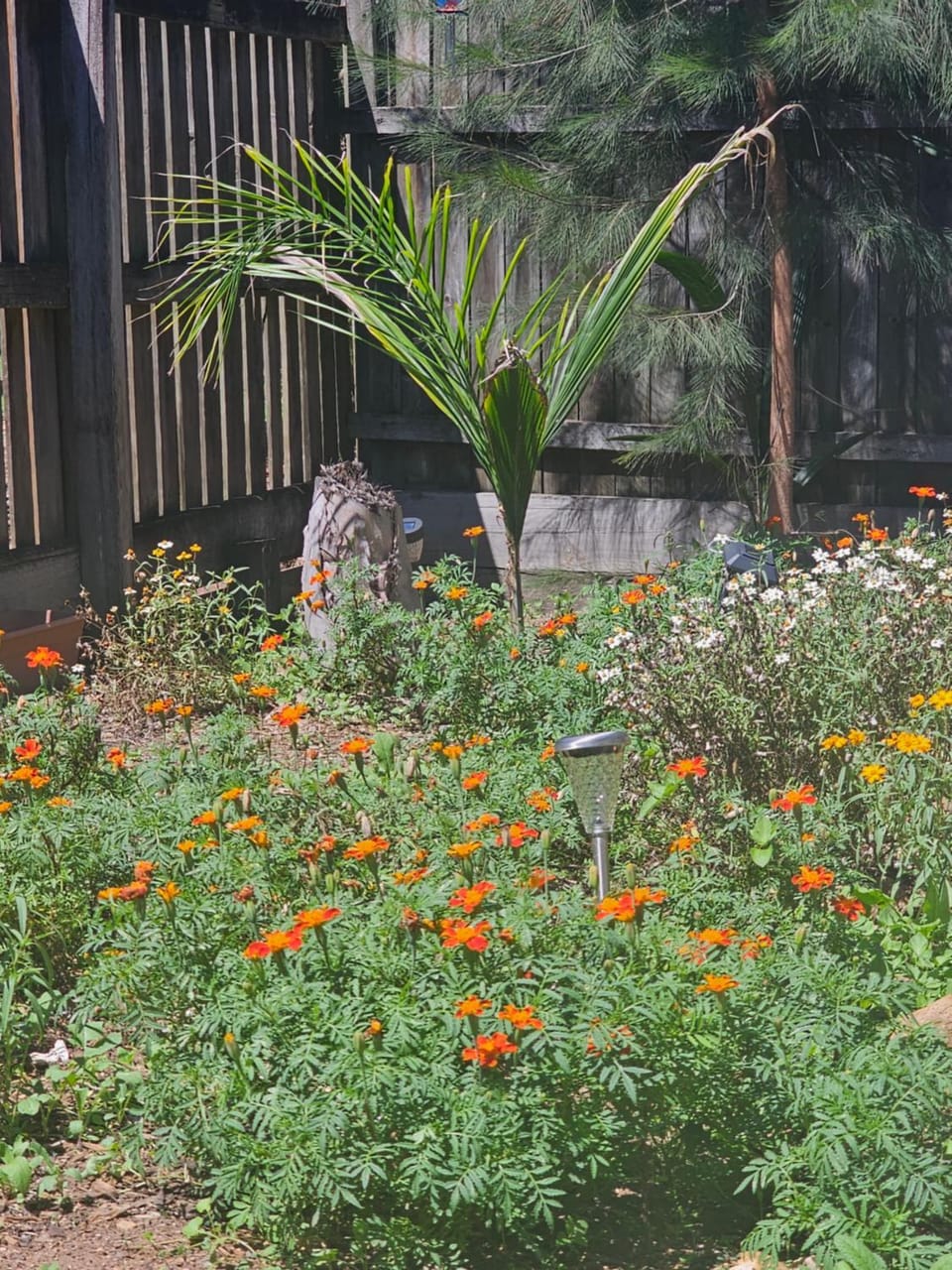 Garden view