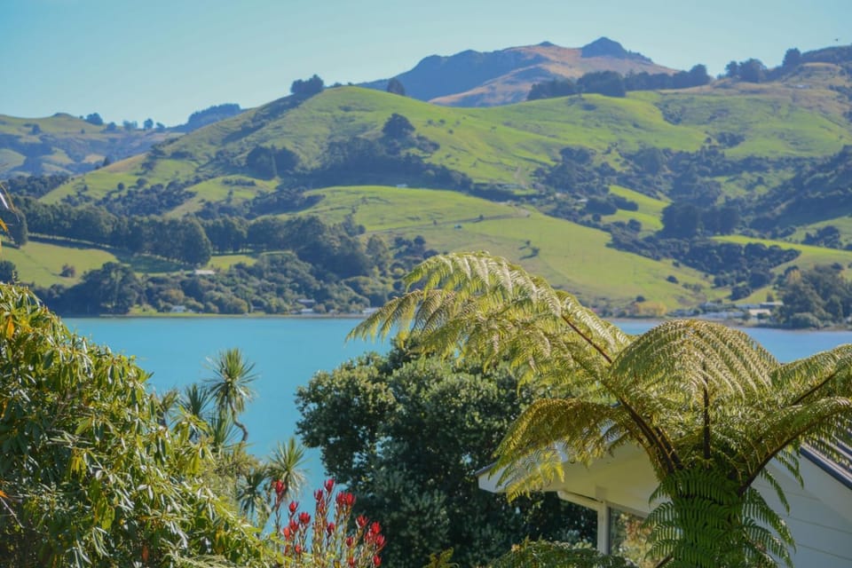 Natural landscape, View (from property/room)