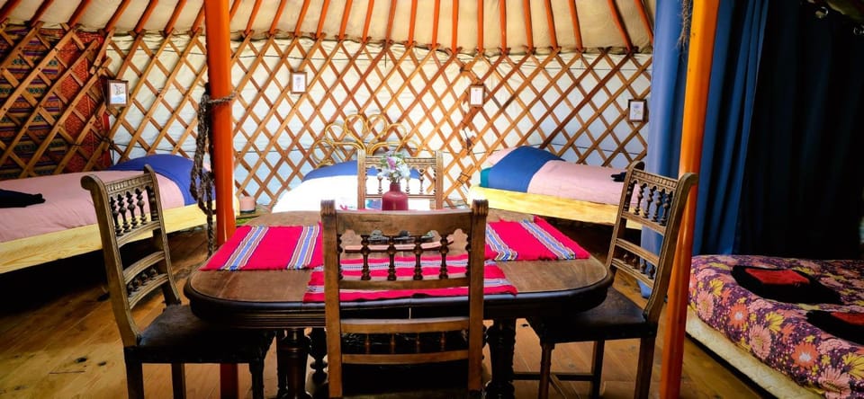 Bed, Photo of the whole room, Dining area, Bedroom