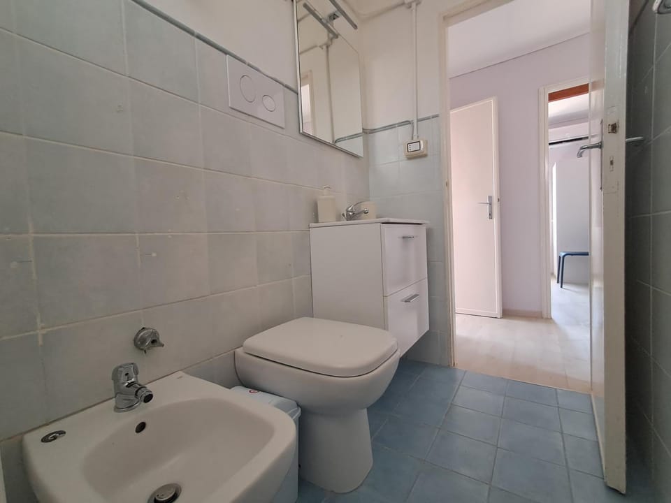 Shower, Toilet, Bathroom, bidet