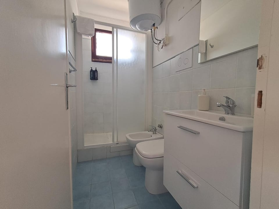 Shower, Toilet, Bathroom, bidet