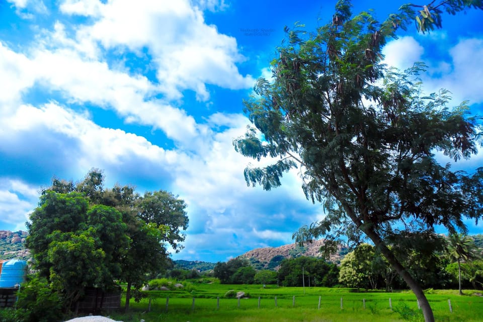 Natural landscape, Garden view
