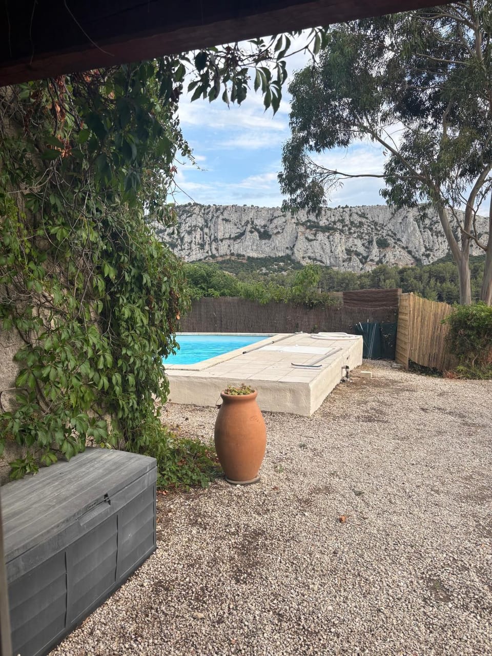 Garden view