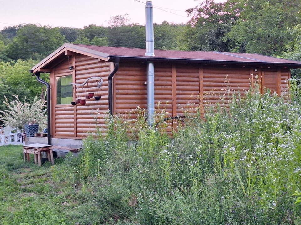 Jos 5 minuta House in Serbia