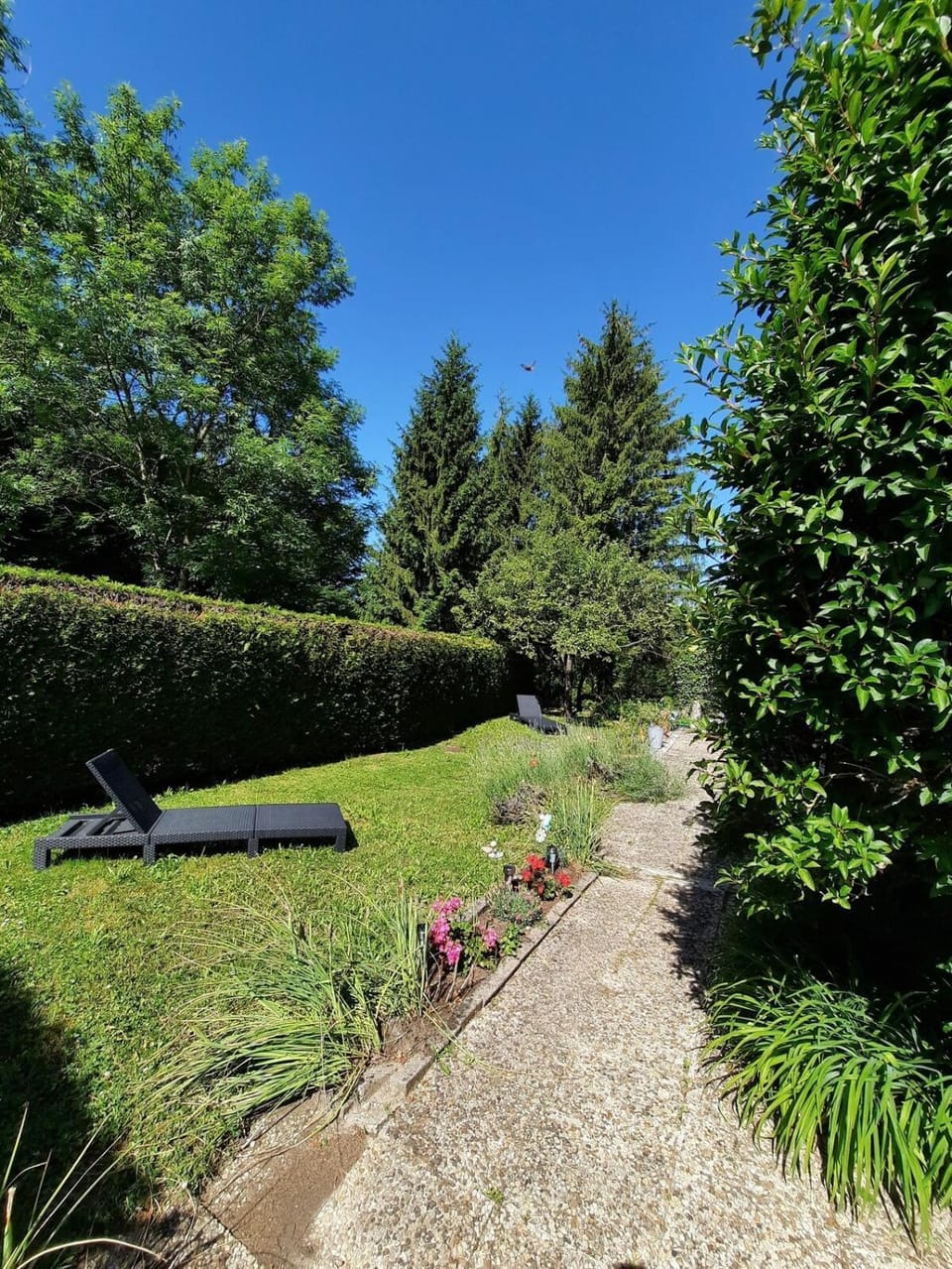Garden, Garden view