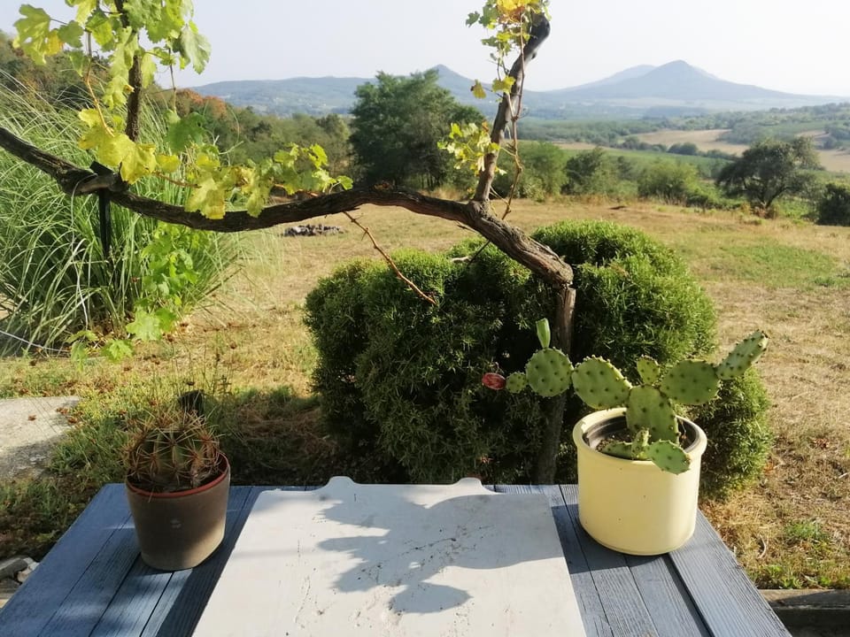 Spring, Garden, Garden view, Mountain view