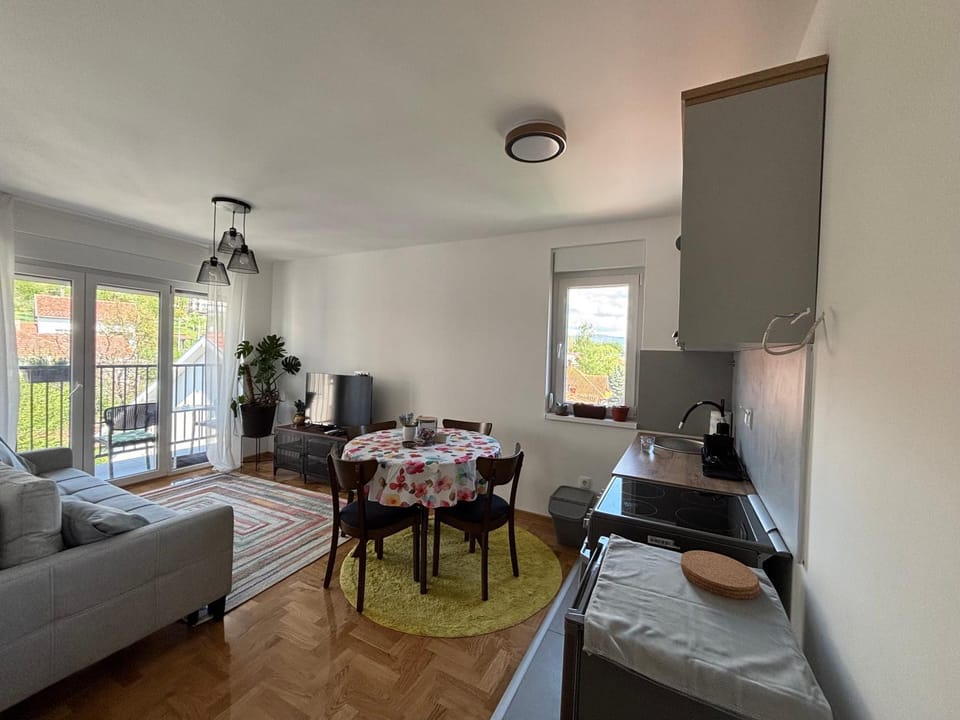 Living room, kitchen