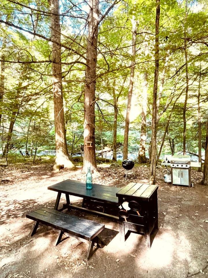 Romantic Glamping Getaway in a Pet Friendly Caravan, Ideal to Explore Hudson Valley House in Taghkanic