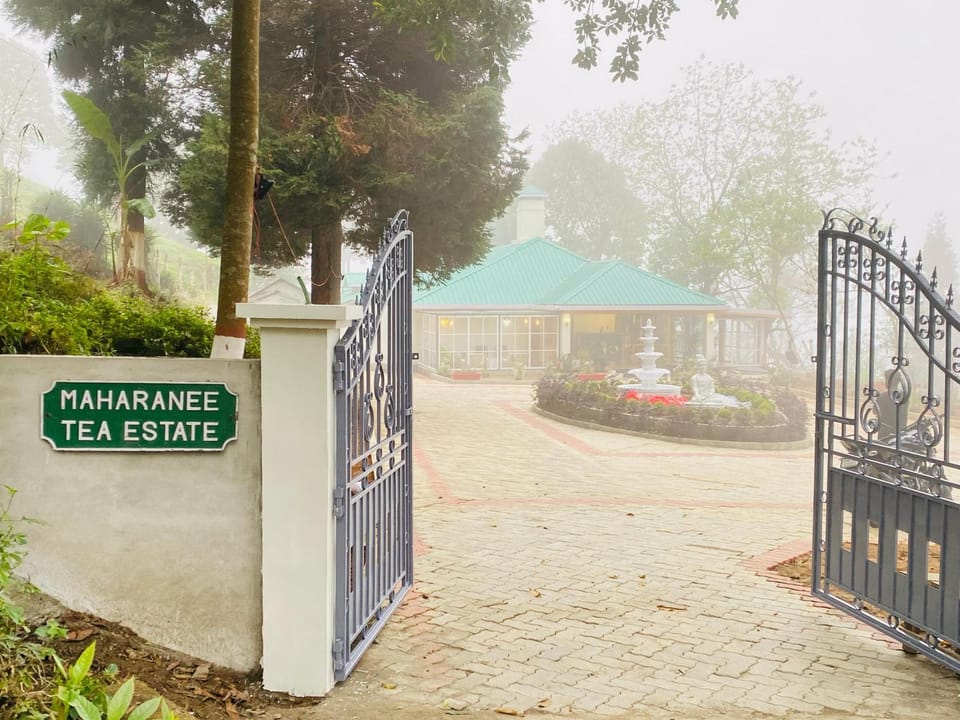 Property building, Property logo or sign, Street view