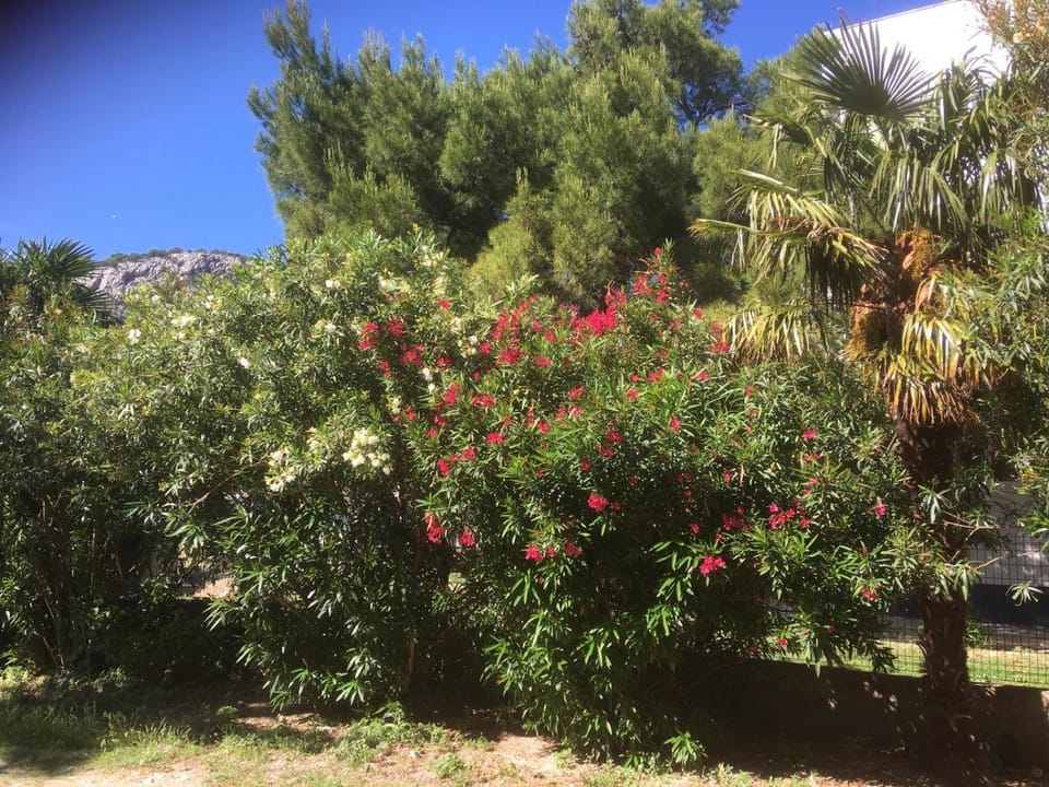 Sabina Apartments Apartment in Split-Dalmatia County