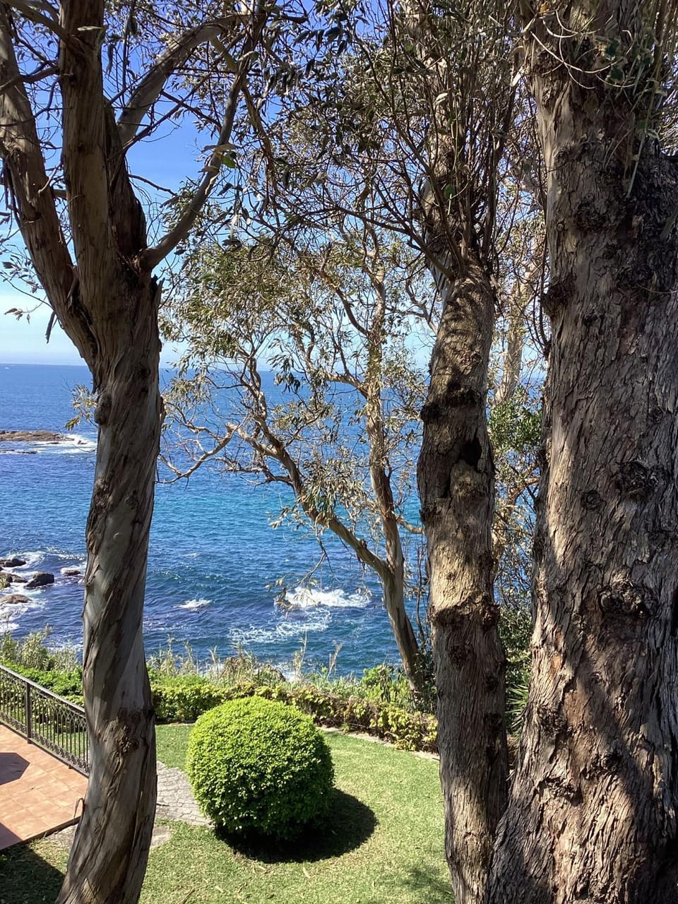 Sea view