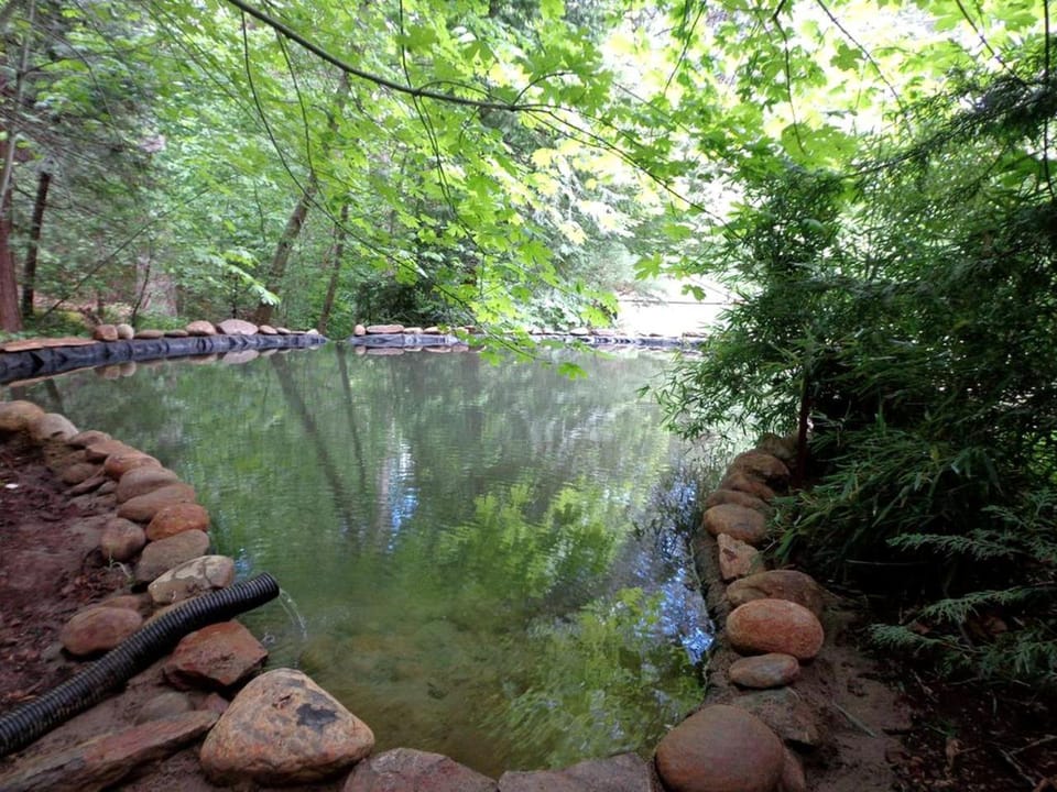 Natural landscape, River view