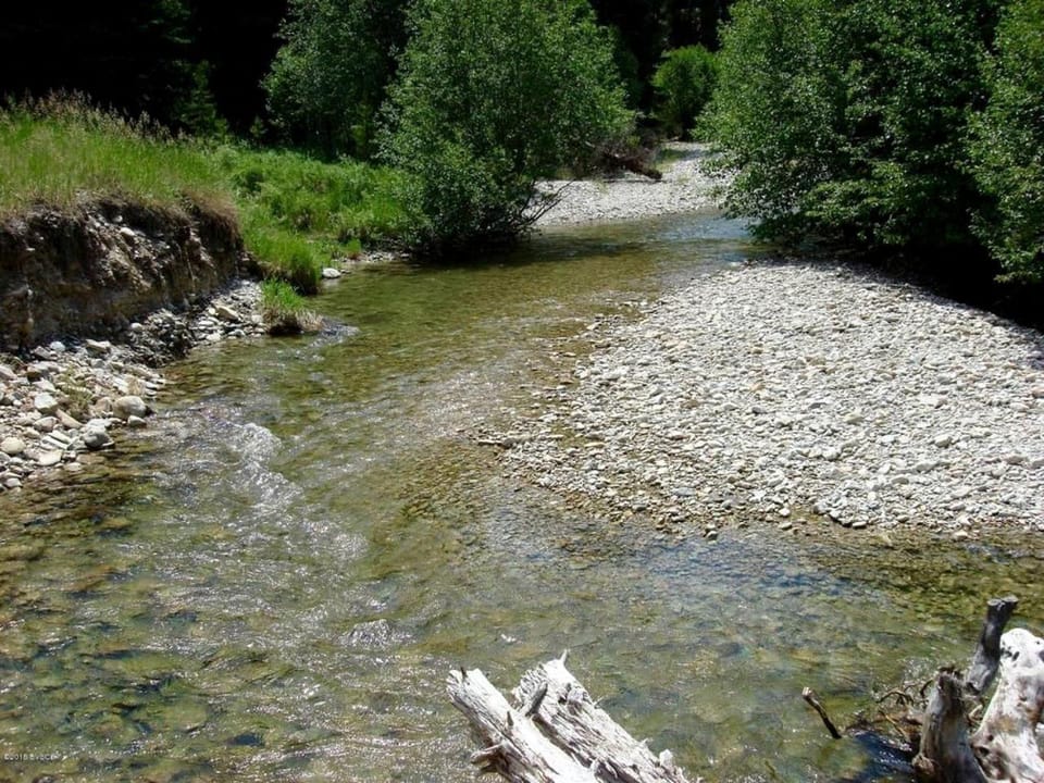 Creekside Cabin Rental in Mountains near Bitterroot Valley, Montana Cabin in Salmon River
