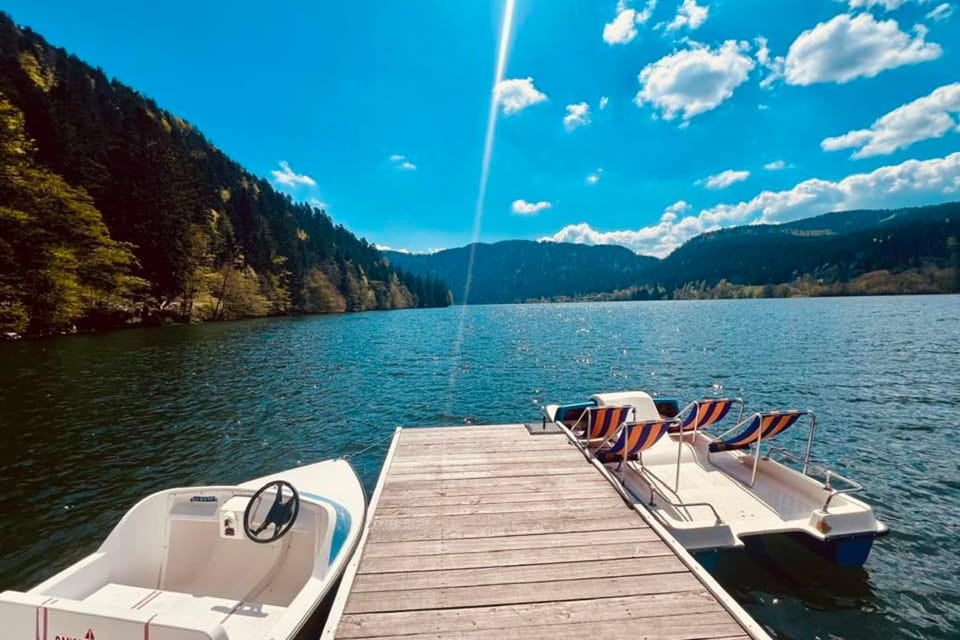 Duplex apartment facing the lake of Gérardmer Apartment in Gérardmer