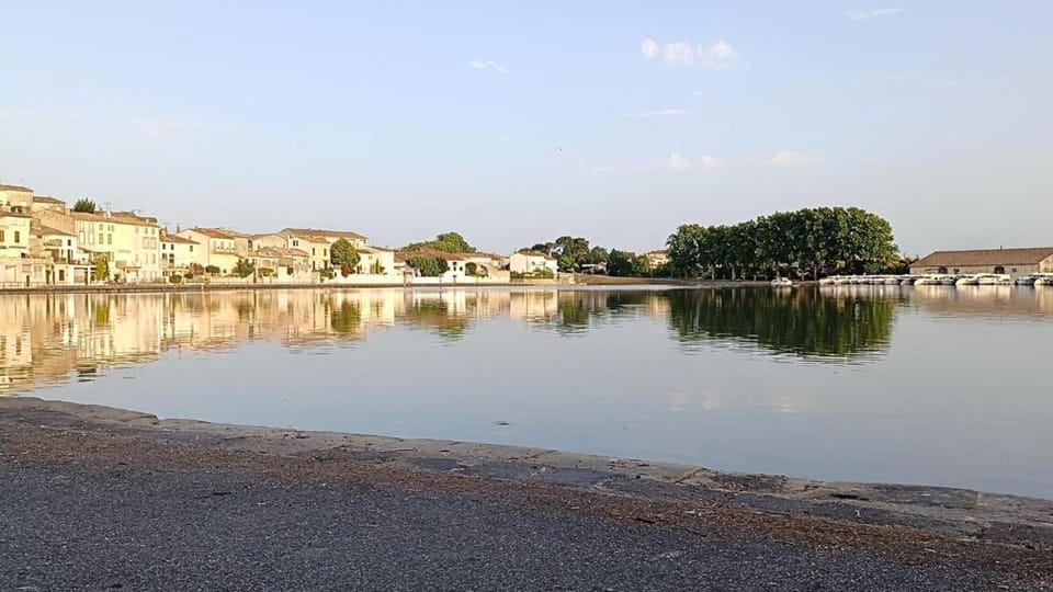 Lake view