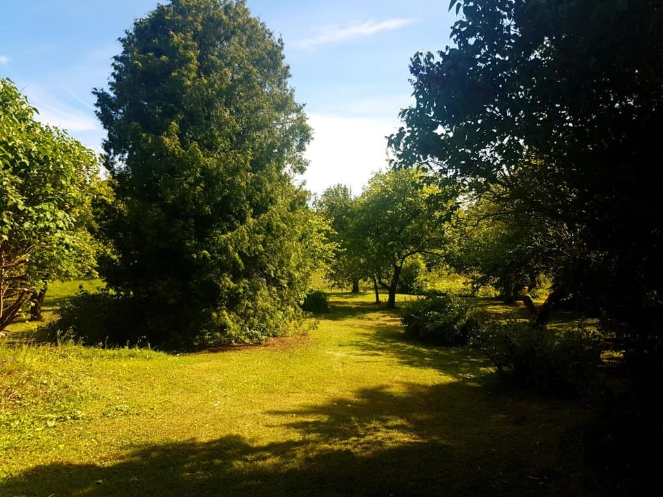 Paali cottage rent Apartment in Estonia