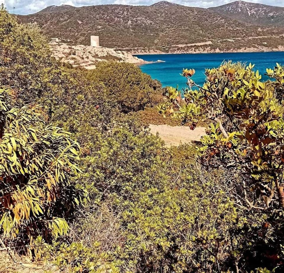 Natural landscape, Sea view