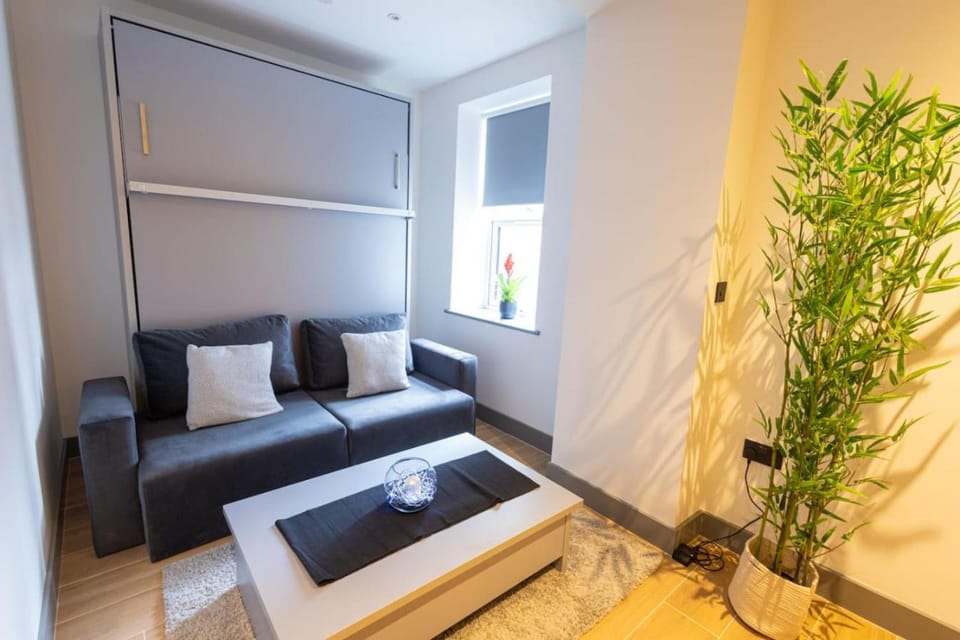 Elegant 1 Bedroom Flat in London Apartment in London
