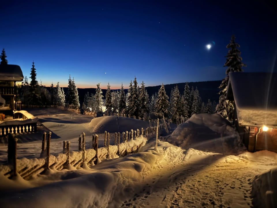 Winter