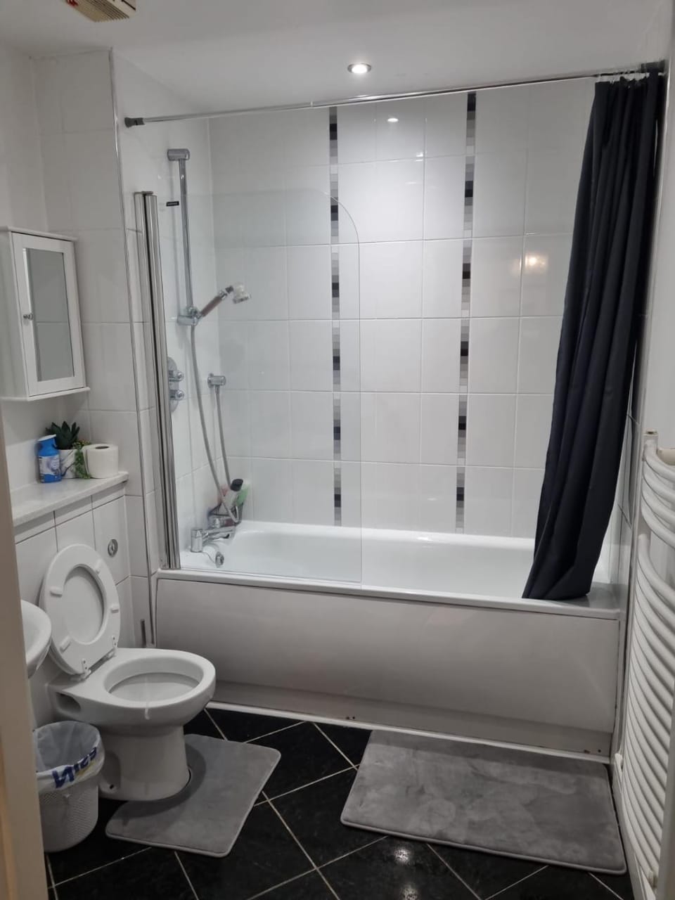 Birmingham Apartment Apartment in Birmingham