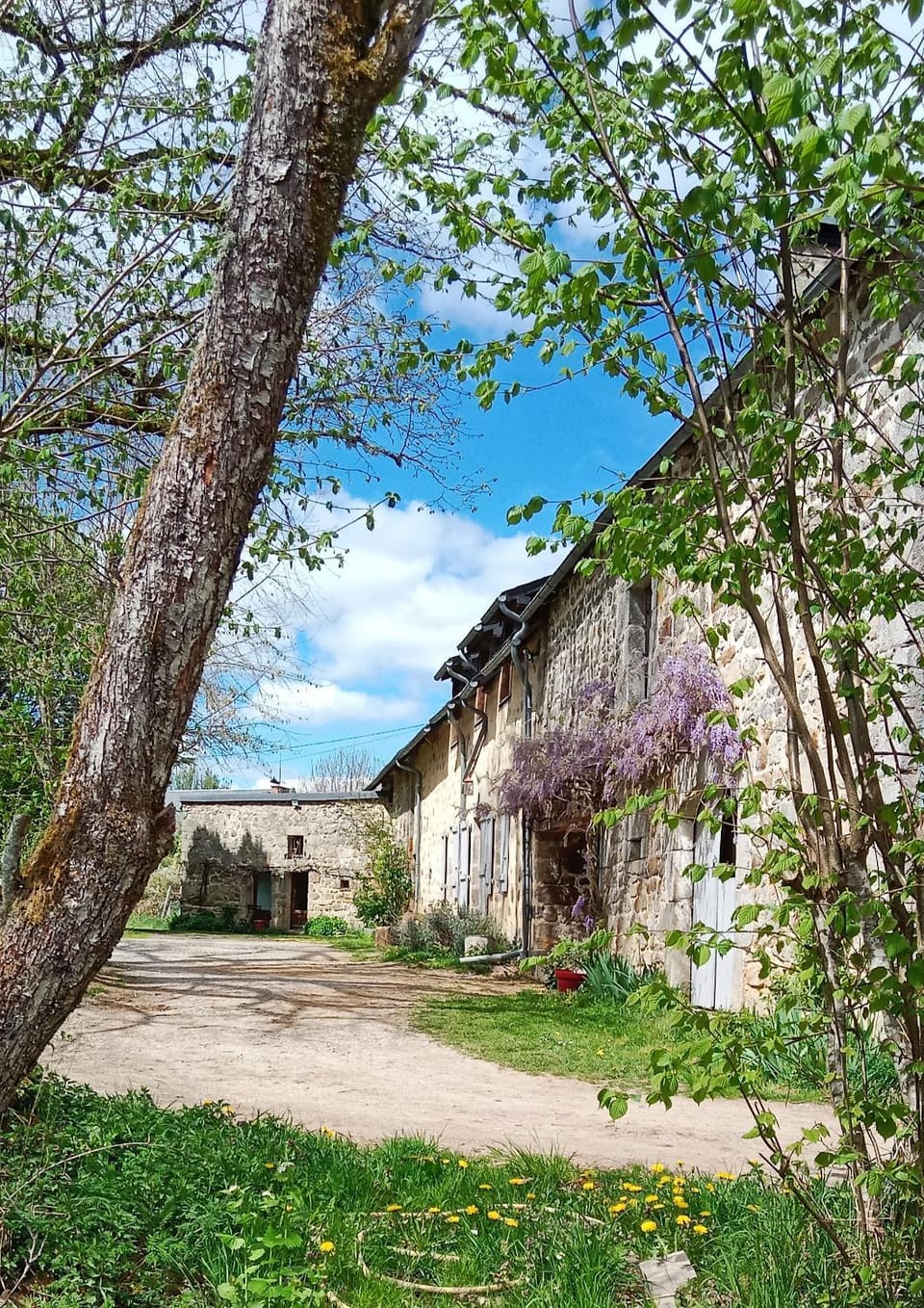 Property building, Spring, Garden view
