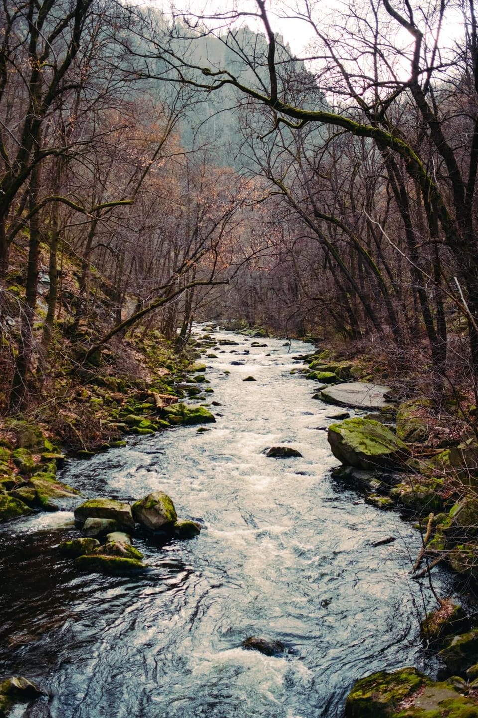 Natural landscape