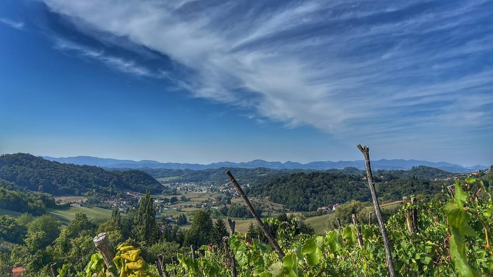 Neighbourhood, Natural landscape, Summer, View (from property/room), Landmark view, Mountain view