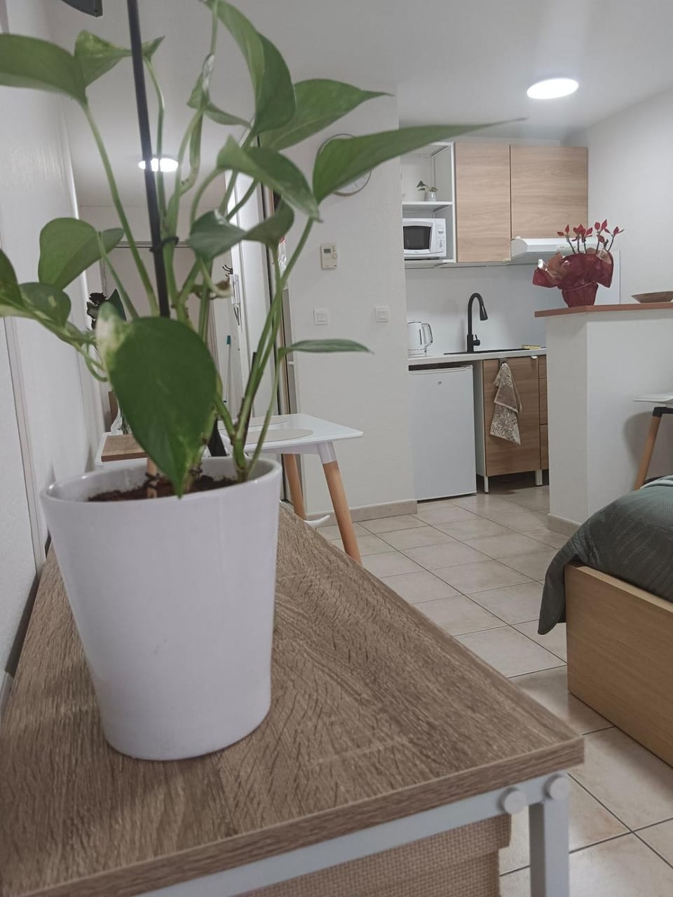 Petite Luma Apartment in Arles