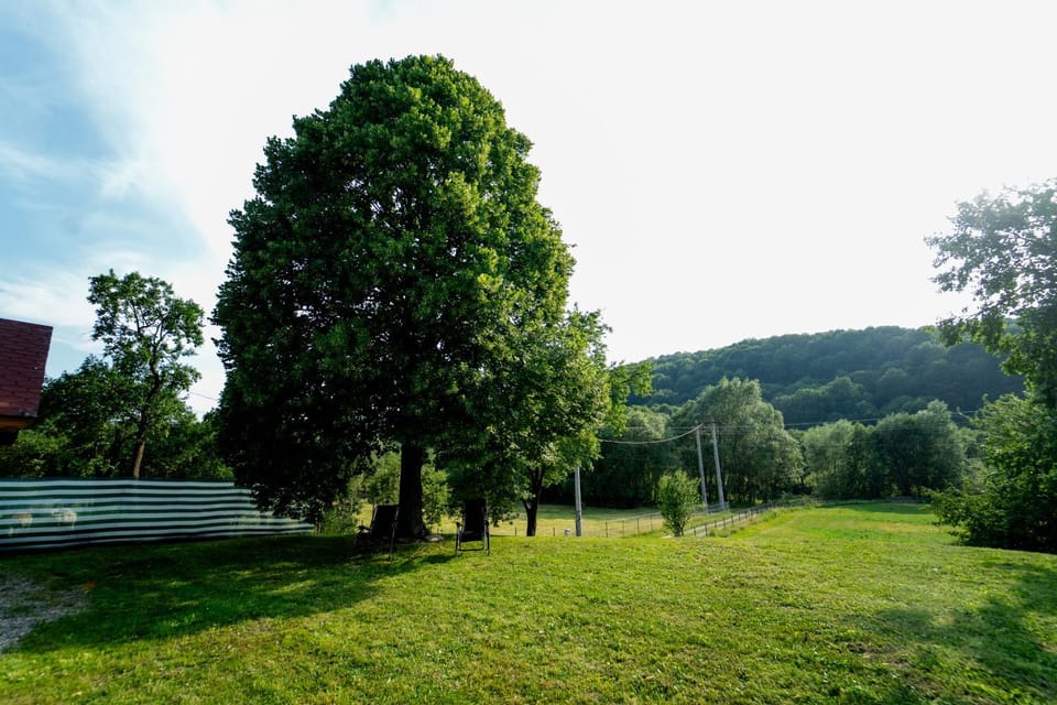Nearby landmark, Spring, Day, Natural landscape, Garden, Garden view, Mountain view