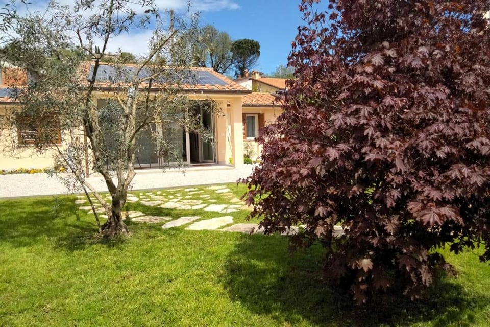 Property building, Garden, Garden view
