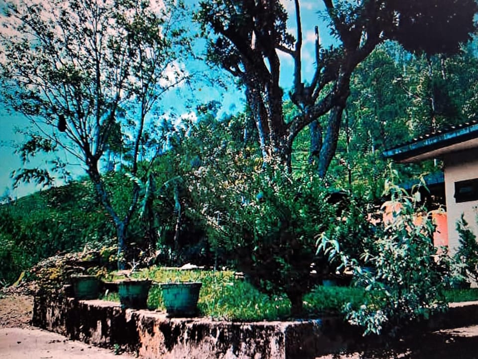 Mano illam Bed and Breakfast in Central Province