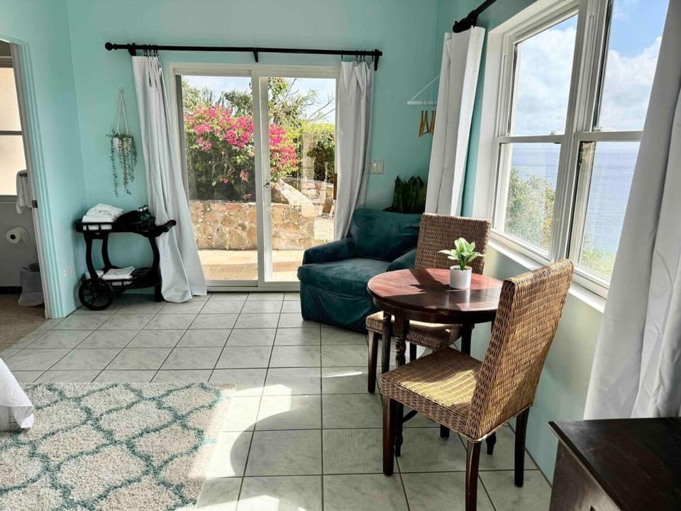 Villa Copa Villa in Cruz Bay